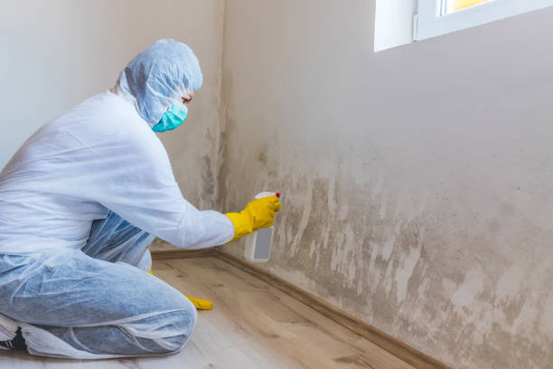 Mold Remediation specialist working in Dania